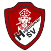 Hagenower SV Logo – zur Startseite